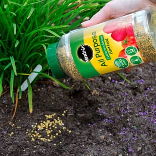 Miracle-Gro Continuous Release Plant Food 1kg - Image 2