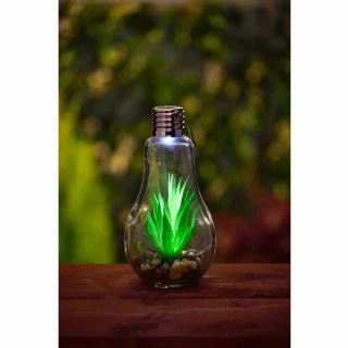 Succulent Solar Light Bulb - Image 2
