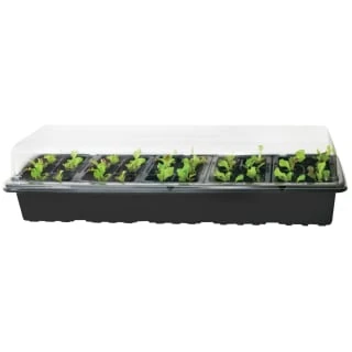 B&M 5-Tray Windowsill Greenhouse Set - Image 2