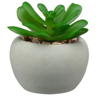 B&M Assorted Small Concrete Succulents - Image 3